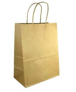 Brown Kraft Paper Bag - 8 x 4.5 x 4.75 x 10.25