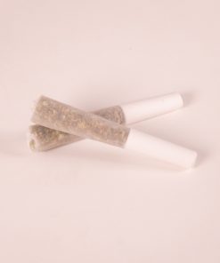 70mm pre-rolled cones