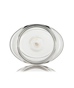 8 oz clear PET plastic single wall oval jar with 70-400 neck finish